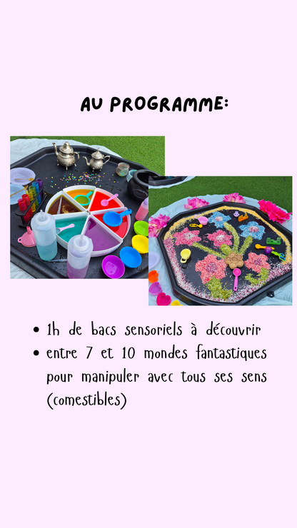 Ateliers scientifiques au Bercail